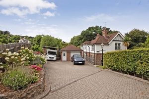 Photo 41- click for photo gallery